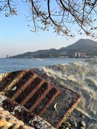 【台北】のんびり地元の人にも愛されてる場所