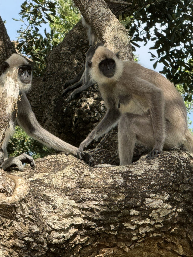 2 Days in Badulla – A Journey Through Nature and Culture
