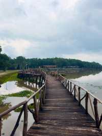 Suspension Bridge, Chill Spring Walk 