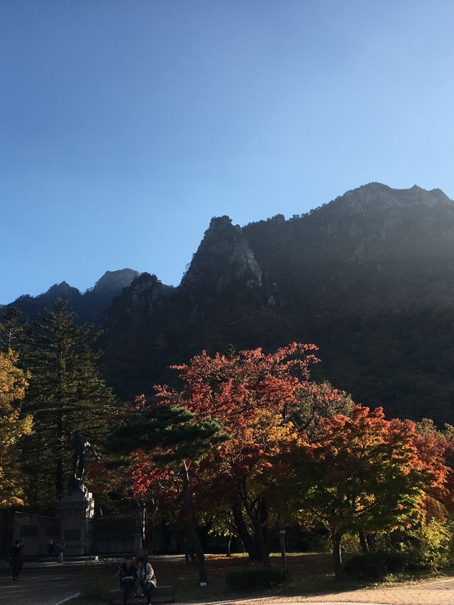 설악산 단풍