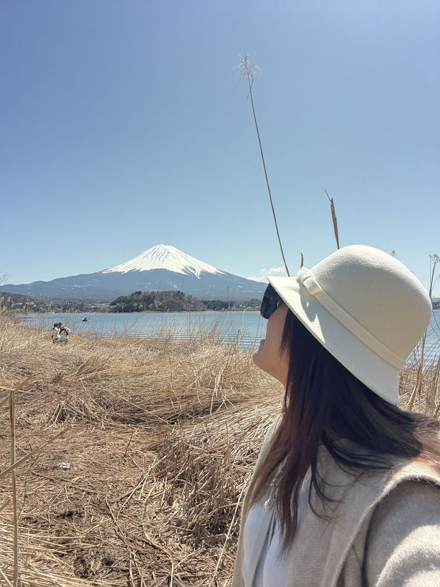 Mount Fuji – Japan’s Majestic Heartbeat 🗻✨