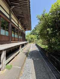 【伊豆・下田】御朱印巡り❁⃘*.ﾟジャスミン寺