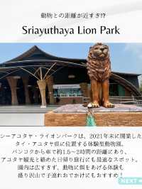 📍こどもとたのしむ【Sriayuthaya Lion Park】  動物との距離が近すぎて、大人も子供も楽しめる動物園