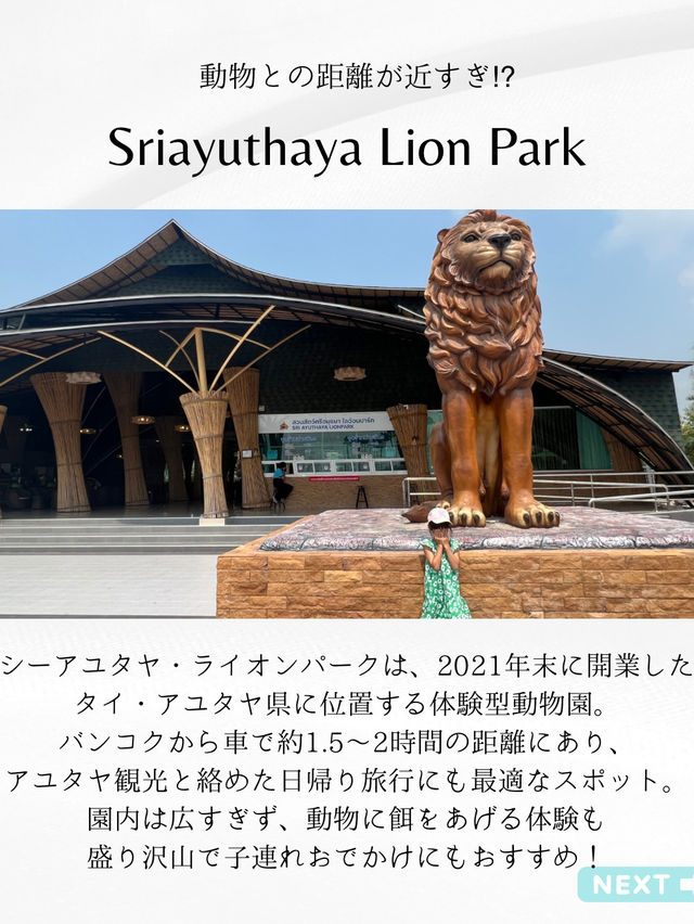 📍こどもとたのしむ【Sriayuthaya Lion Park】  動物との距離が近すぎて、大人も子供も楽しめる動物園