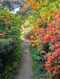 Tatton Park: A Grand Estate Full of Unexpected Magic