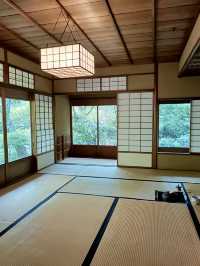 A Day of Art & Blossoms in Meguro – Garden Views & Golden Moments