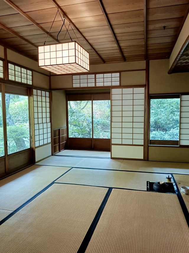 A Day of Art & Blossoms in Meguro – Garden Views & Golden Moments