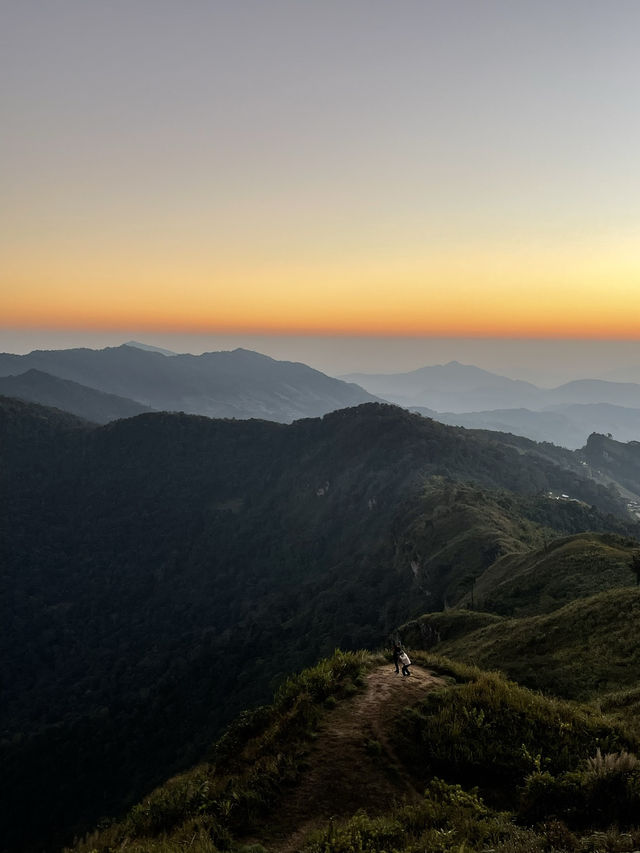 Phu Chi Fa – Chasing the Sea of Mist.