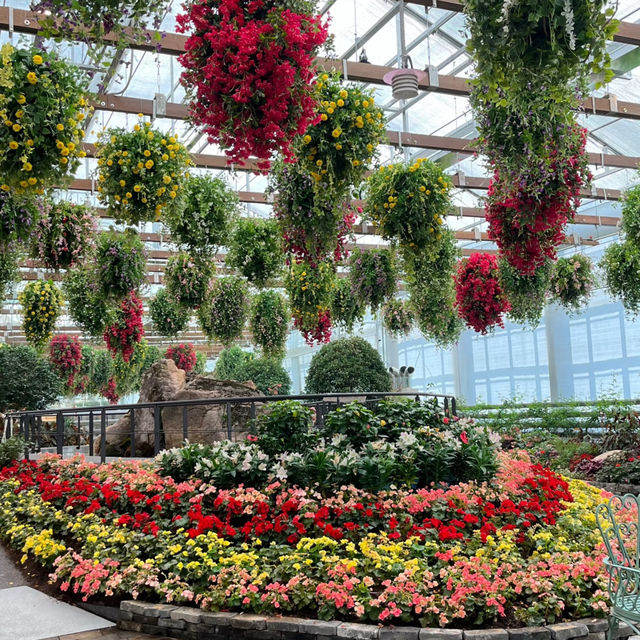 Korea Travel | Begonia & Bird Garden in Gyeonggi-do 🌺🦜