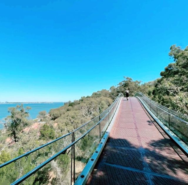 Wandering Through Wonder: A Walk in Kings Park, Perth