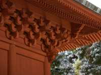 Sakura Serenity in Hirosaki: Northern Japan’s Blossom Gem