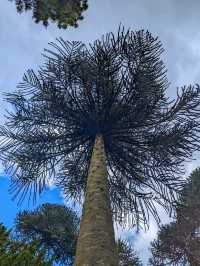 Biddulph Grange Garden – A Global Adventure in One Enchanted Garden