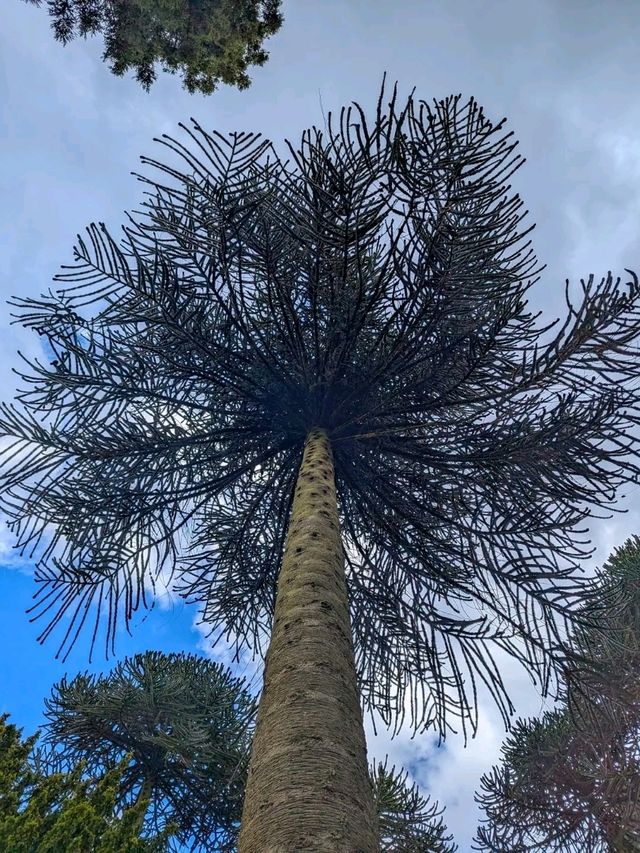 Biddulph Grange Garden – A Global Adventure in One Enchanted Garden
