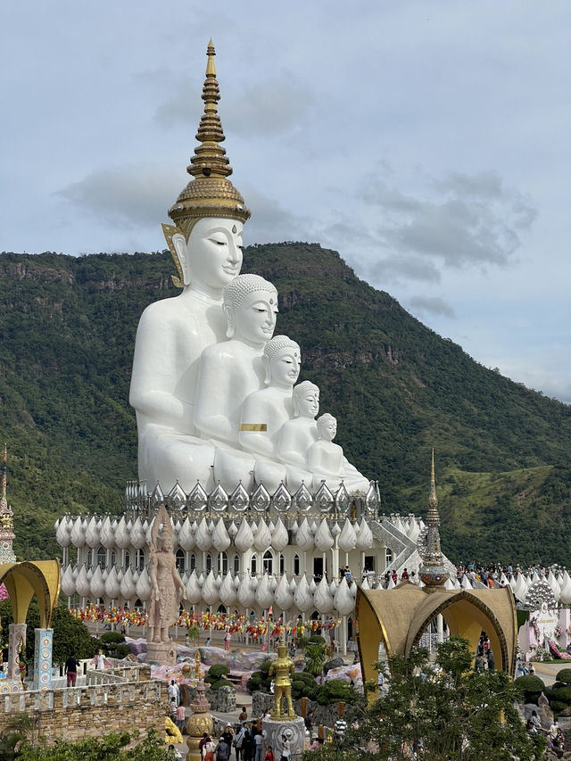 เขาค้อ เพชรบูรณ์ บรรยากาศสุดกรีน