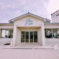 Frames & Flavors: Haru Film Cafe in Jeju