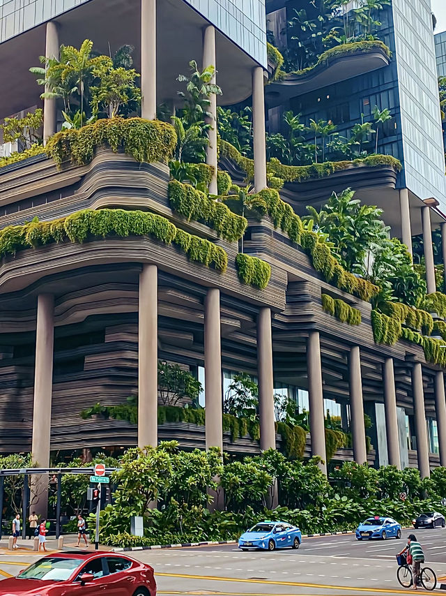 🌴 รีวิวเที่ยว “สิงคโปร์“🇸🇬