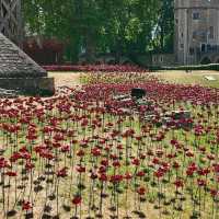 Tower of London, London