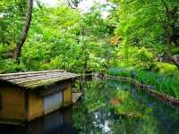 Nezu Museum – Where Art, Architecture, and Nature Meet in Harmony