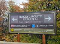 해외여행 아르헨티나 빙하 Perito Moreno Glacier Walkways