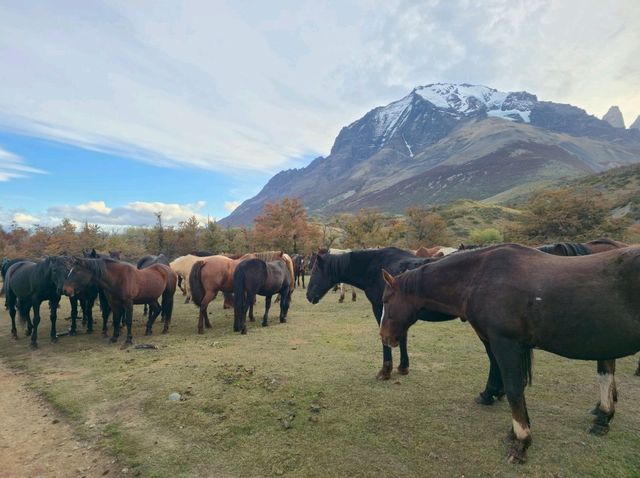 해외여행 칠레 Welcome Center Parque Nacional Torres del Paine