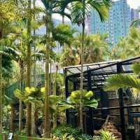 🌿🐒 Hong Kong’s Backyard Paradise — Deep Dive into the Zoological & Botanical Gardens!