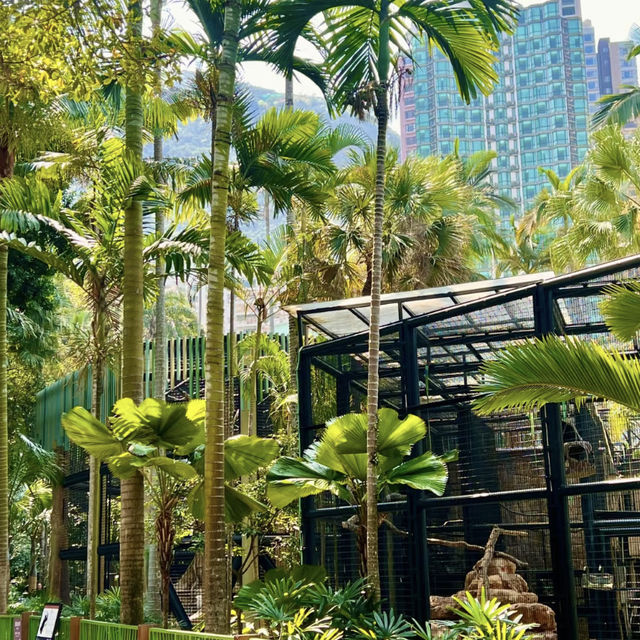 🌿🐒 Hong Kong’s Backyard Paradise — Deep Dive into the Zoological & Botanical Gardens!