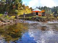 Khaptad national park 