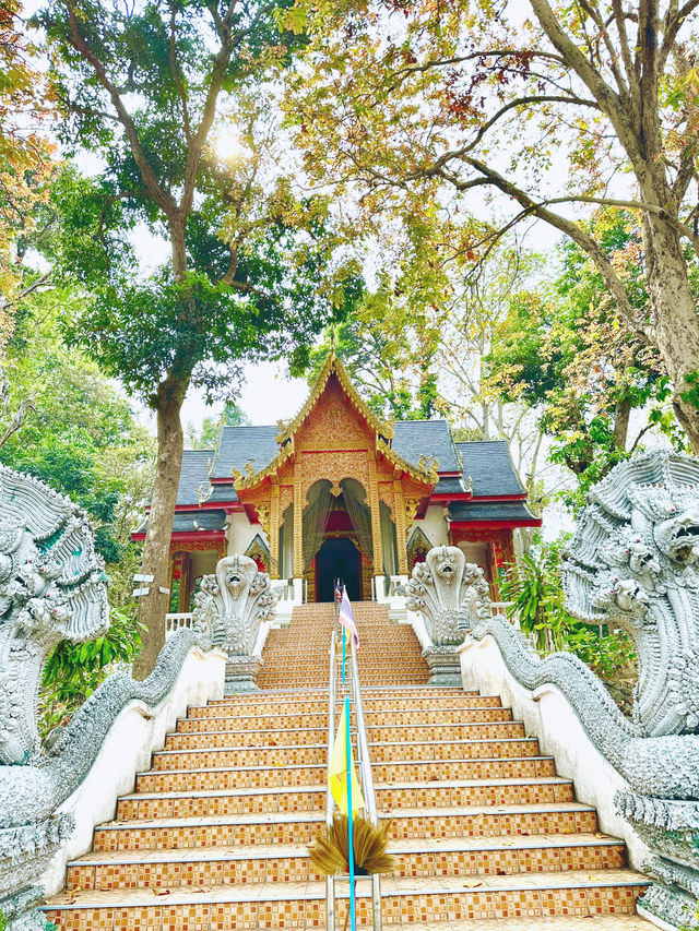Favorite short hike in chiang mai