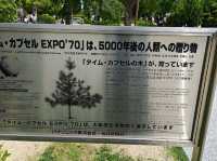 大阪城重遊之旅