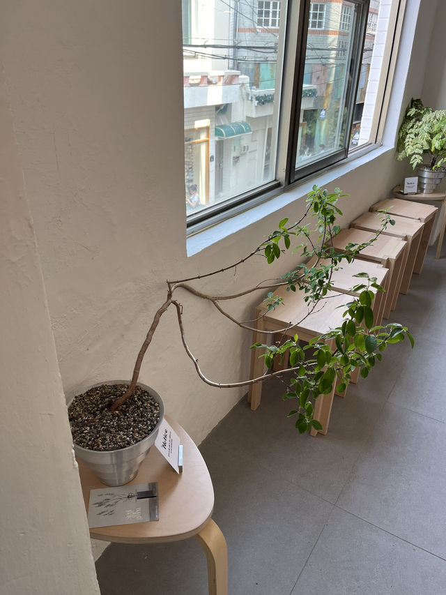 부산 분위기좋은 카페 추천