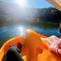 Sydney with Kids | Paddling Through Nature in a National Park 🚣‍♀️🌿