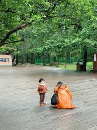 กระเช้าหยุนชานผิง ในวันที่ฟ้าฝนไม่เป็นใจ 
