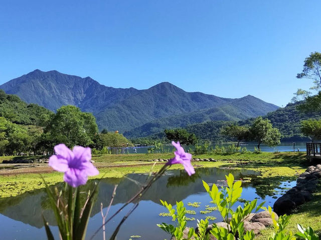 花蓮｜鯉魚潭