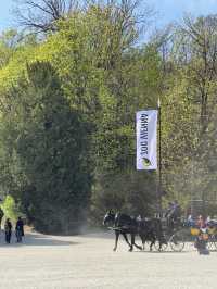 Vienna in Full Glory – A Day with Royal Halls, Sacred Silence & Golden Books