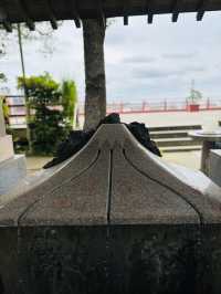 最強の恋愛💓パワースポット⛩️〝多摩川浅間神社〟でパワーチャージ💪⟡.·