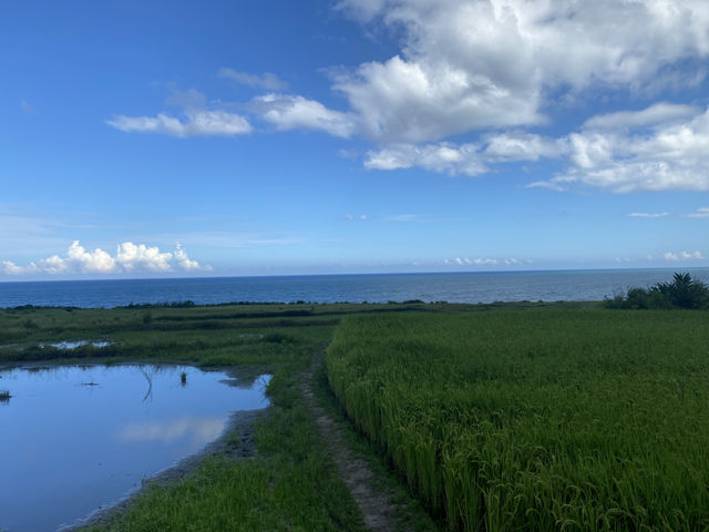 巴特虹岸  🌾 豐濱 新社梯田 🌾