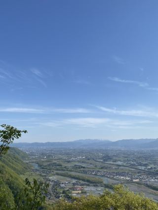 Sakura Blooming "Rising Dragon" Hillside - Hikarujo Mountain