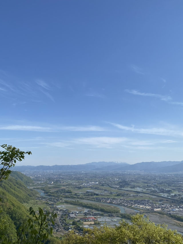 🌸 桜咲く“昇り龍”の里山  光城山