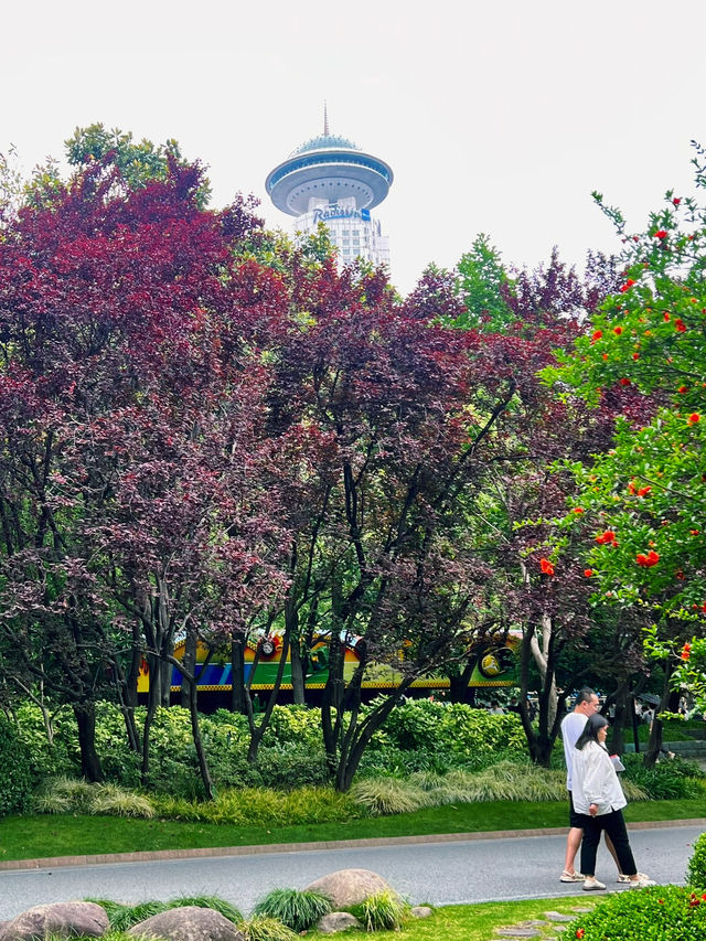 Interesting Cultural Gem in Shanghai😉