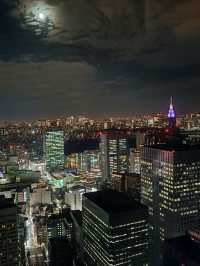 分享❤️東京六天五夜自由行行程！