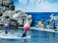 Don’t miss this in Bangkok: A day of thrills and unforgettable shows! 