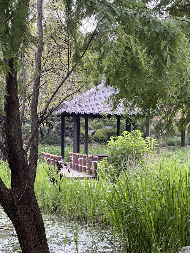 전주 수목원 커플 데이트 코스🩵💚