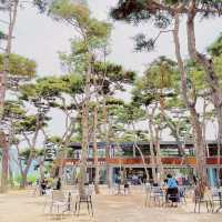Soul Roastery Cafe