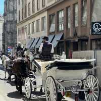 Vienna Travel: An Imperial & Artistic Journey! 🇦🇹🎶🏰