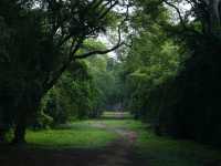 My 1st day in Angkor Wat