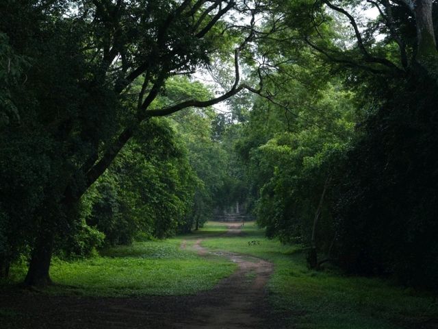 My 1st day in Angkor Wat