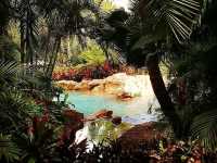 Discovery Cove is truly a hidden gem in the heart of Orlando
