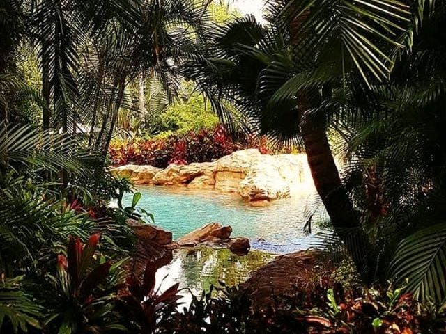 Discovery Cove is truly a hidden gem in the heart of Orlando