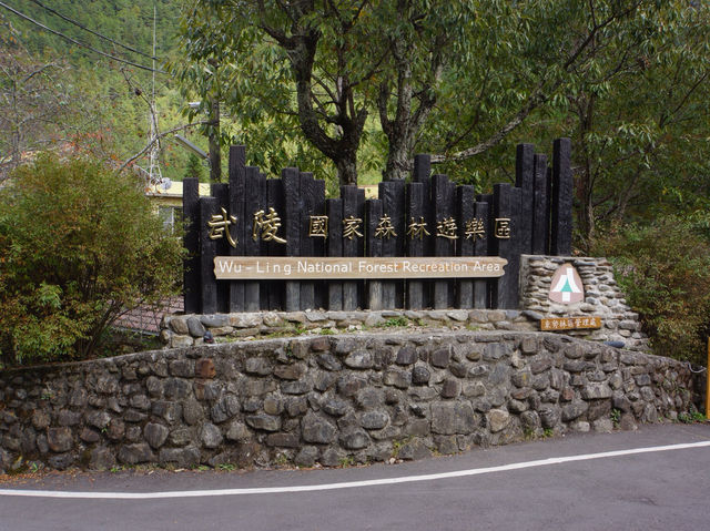 森林遊樂園區系列 PART1️⃣1️⃣