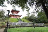 Visit Narita before your flight